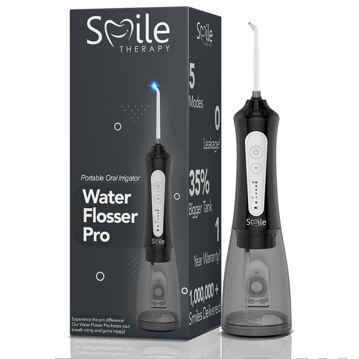 Water Flosser Pro DP2
